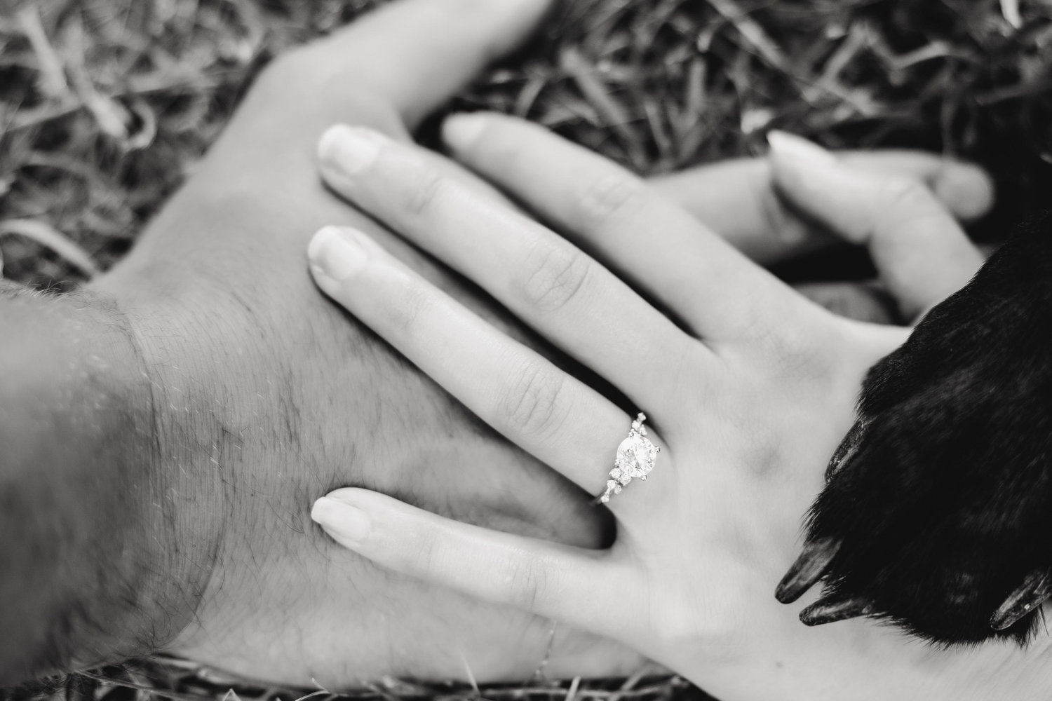 The Wedding Website of Emily Burns and Michael Lemmens