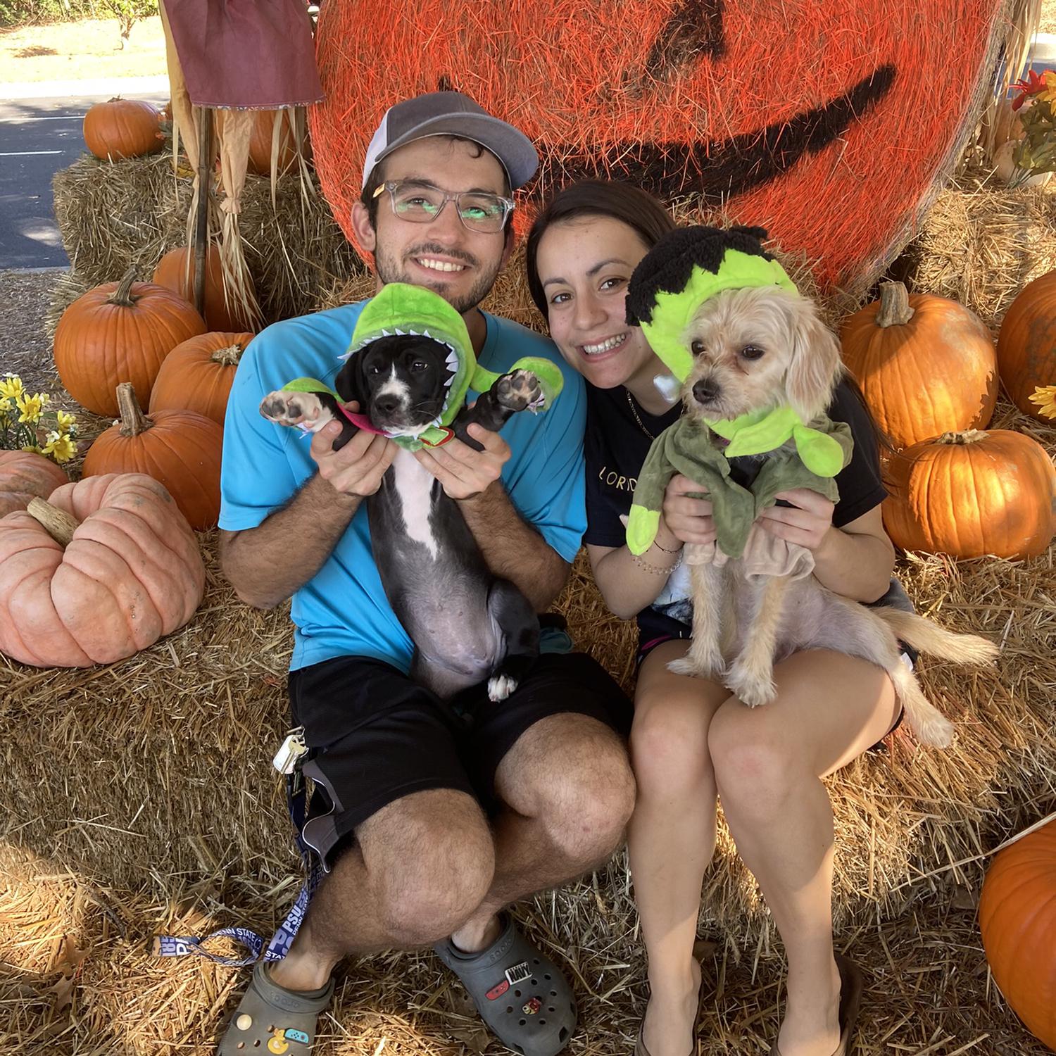 The fostering adventures begin!