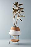 Dipped Clay Pot + Stand