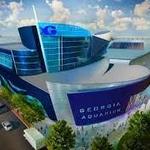 Georgia Aquarium