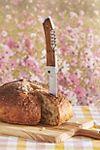W&P The Picnic Knife Tool