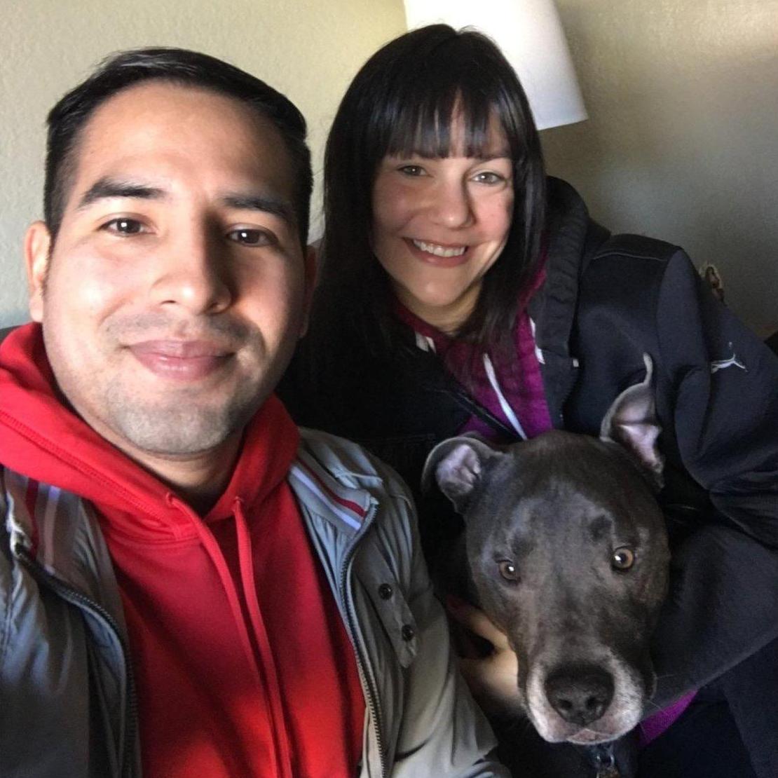 Meet our dog Tego