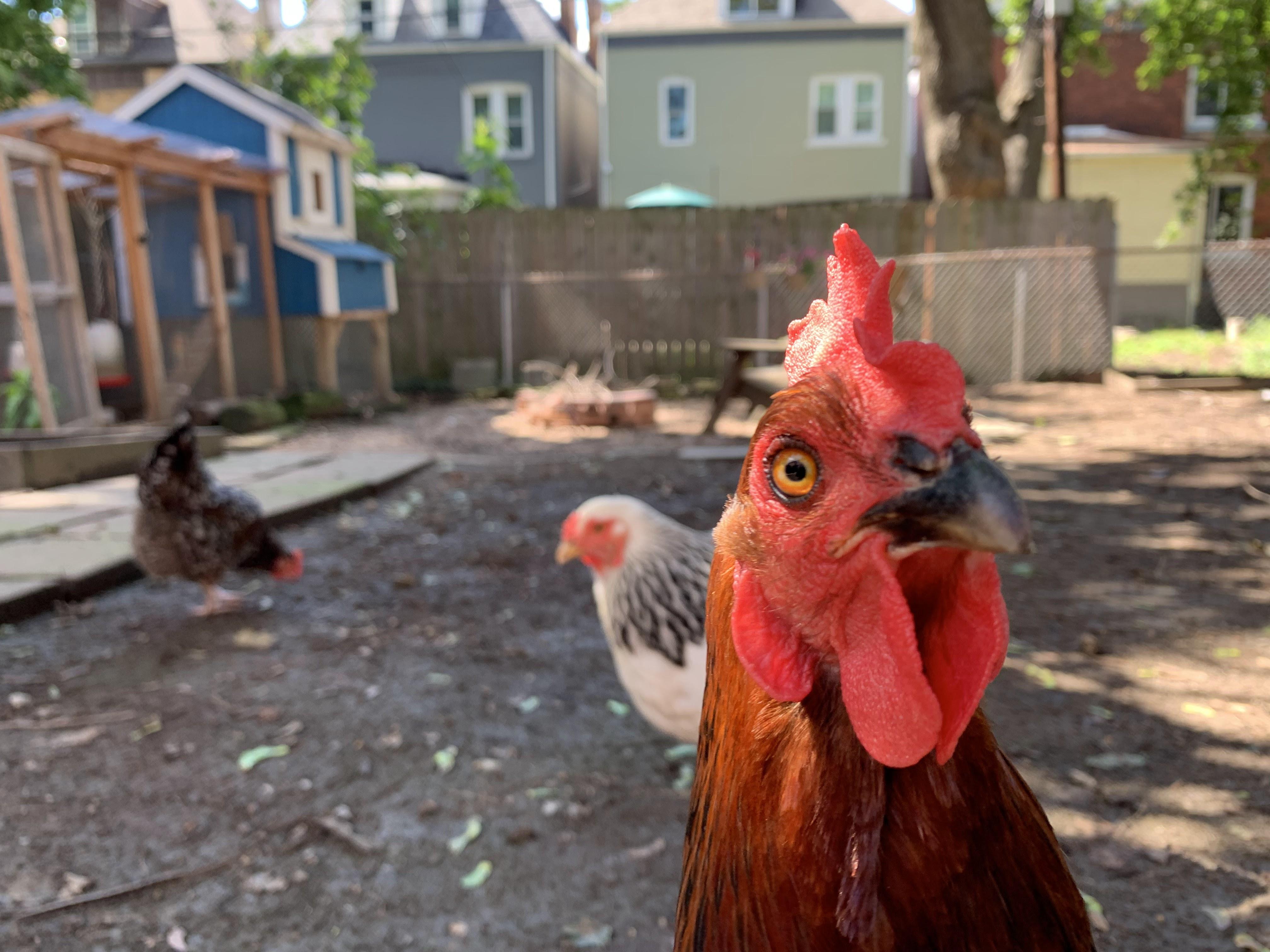 The Wedding Website of Moira Miller and Sean Harpst