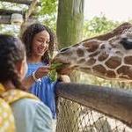 Brevard Zoo