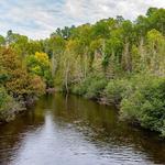 Brule River State Forest