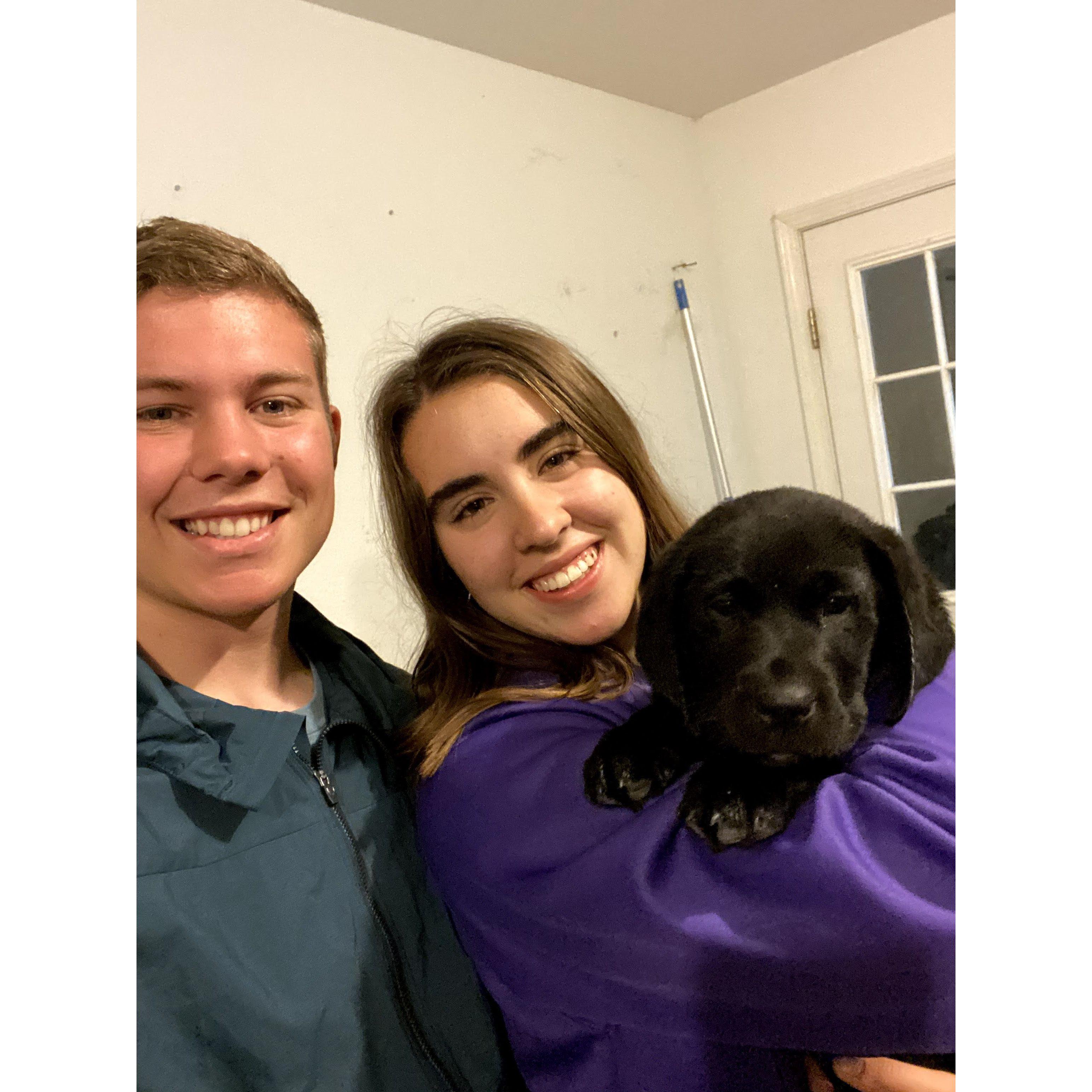 Our first moments with Roy Roy