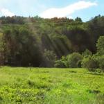 Squam Lakes Natural Science Center