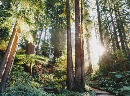 The Wedding Website of Kayla Lattimore and Jessica Sewell