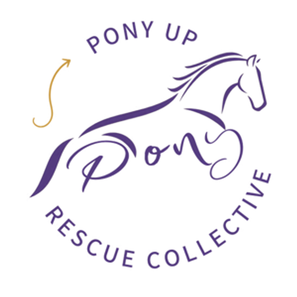 Charitable Donation to Pony Up Collective Rescue in Tivoli, NY
