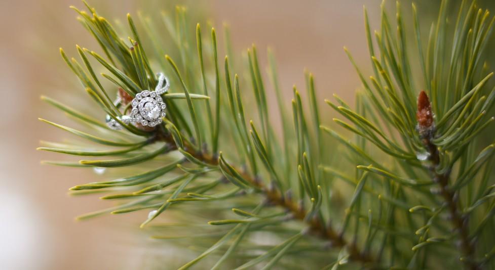 The Wedding Website of Angie Shumate and Paul Sherlin