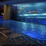 Golden Nugget Las Vegas Hotel & Casino