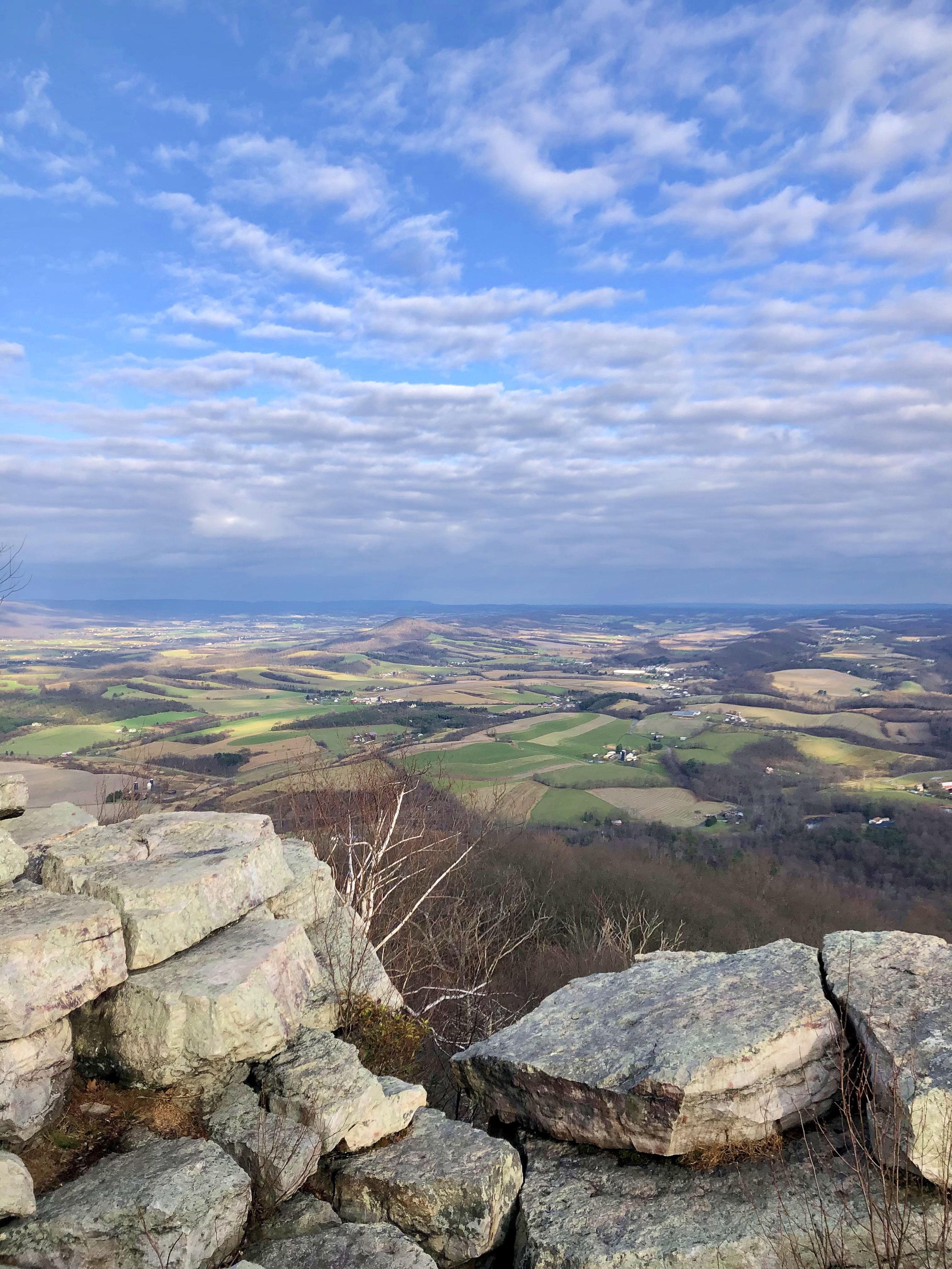 The Wedding Website of Tess Taylor and Joshua Taylor