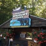 Maine Wildlife Park