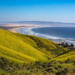 Pismo Preserve