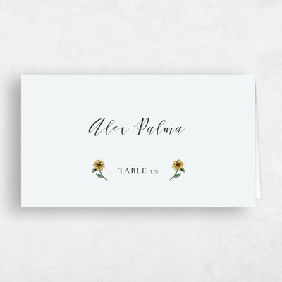 Mist, Grey Wedding Place Card - Mirasol