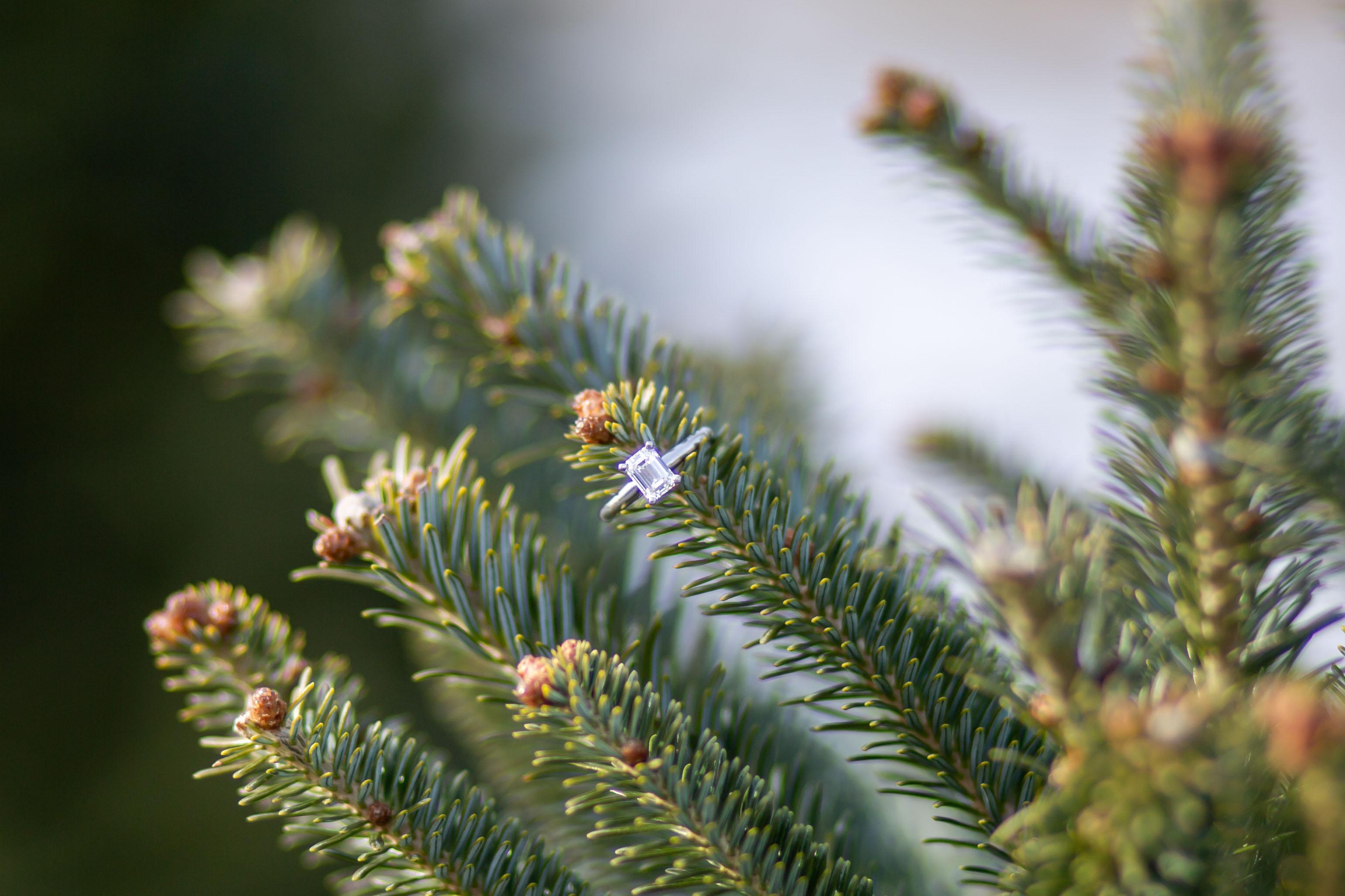 The Wedding Website of Gabrielle Tretton and Josh LoPriore