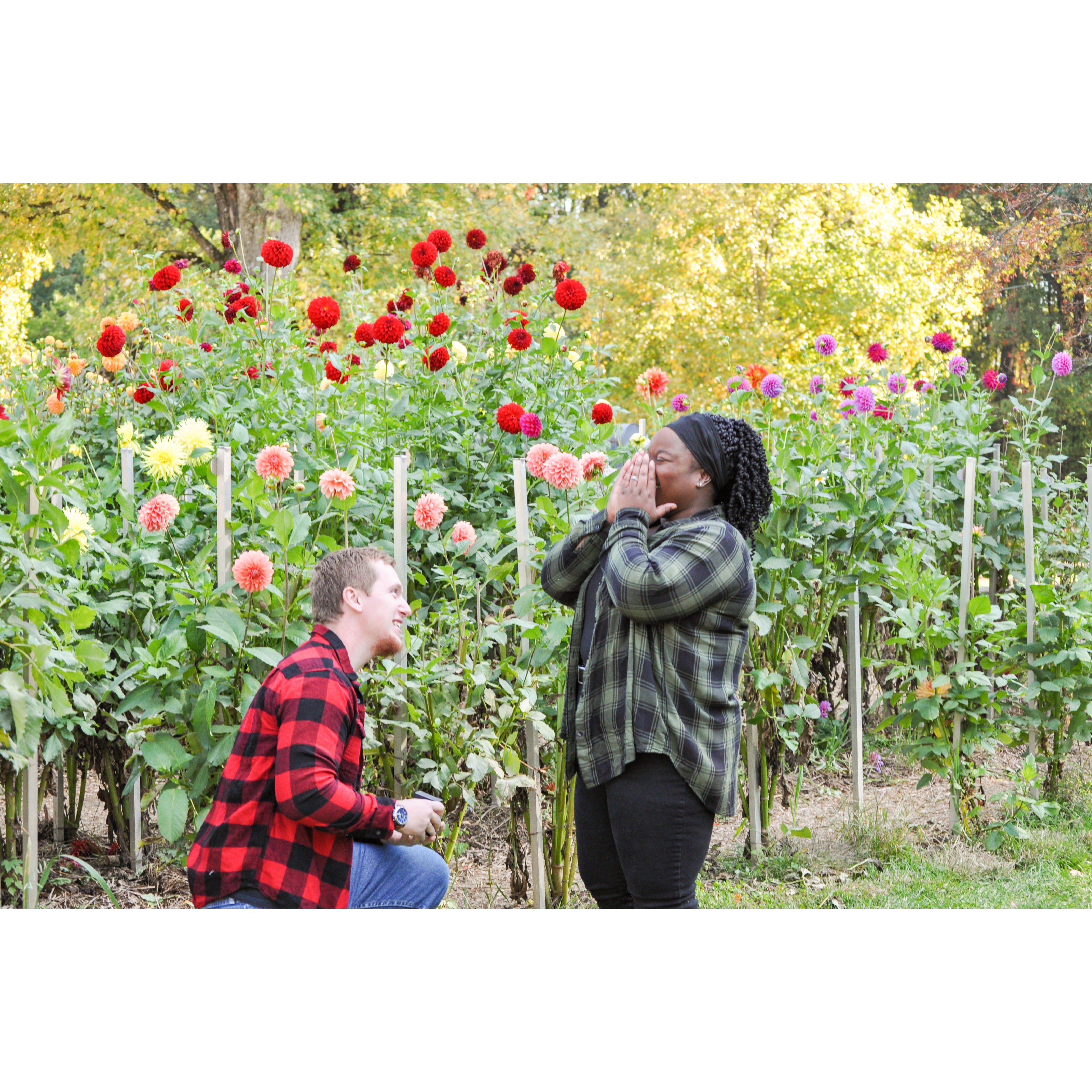 Down on one Knee!