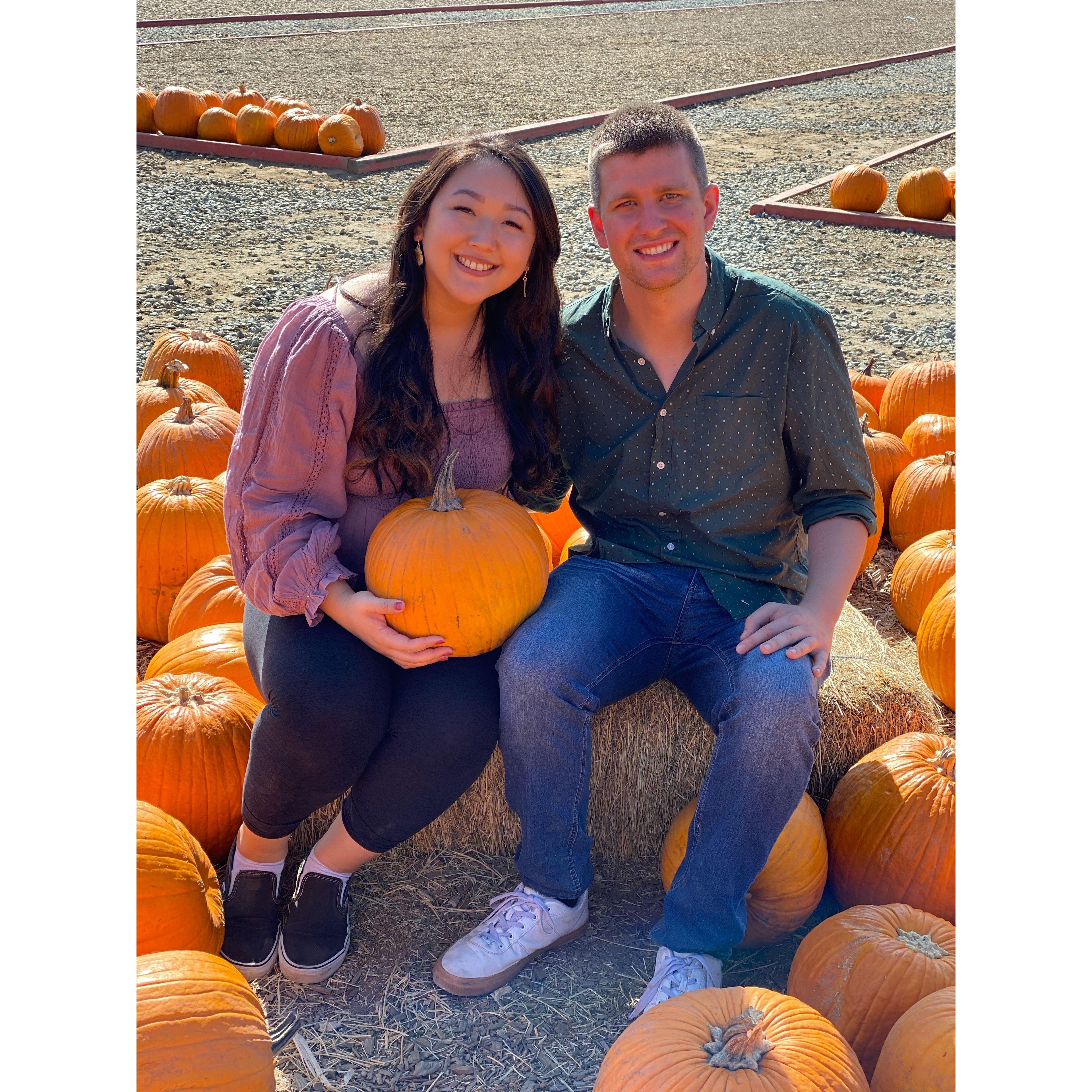 Pumpkin Patch, 2020