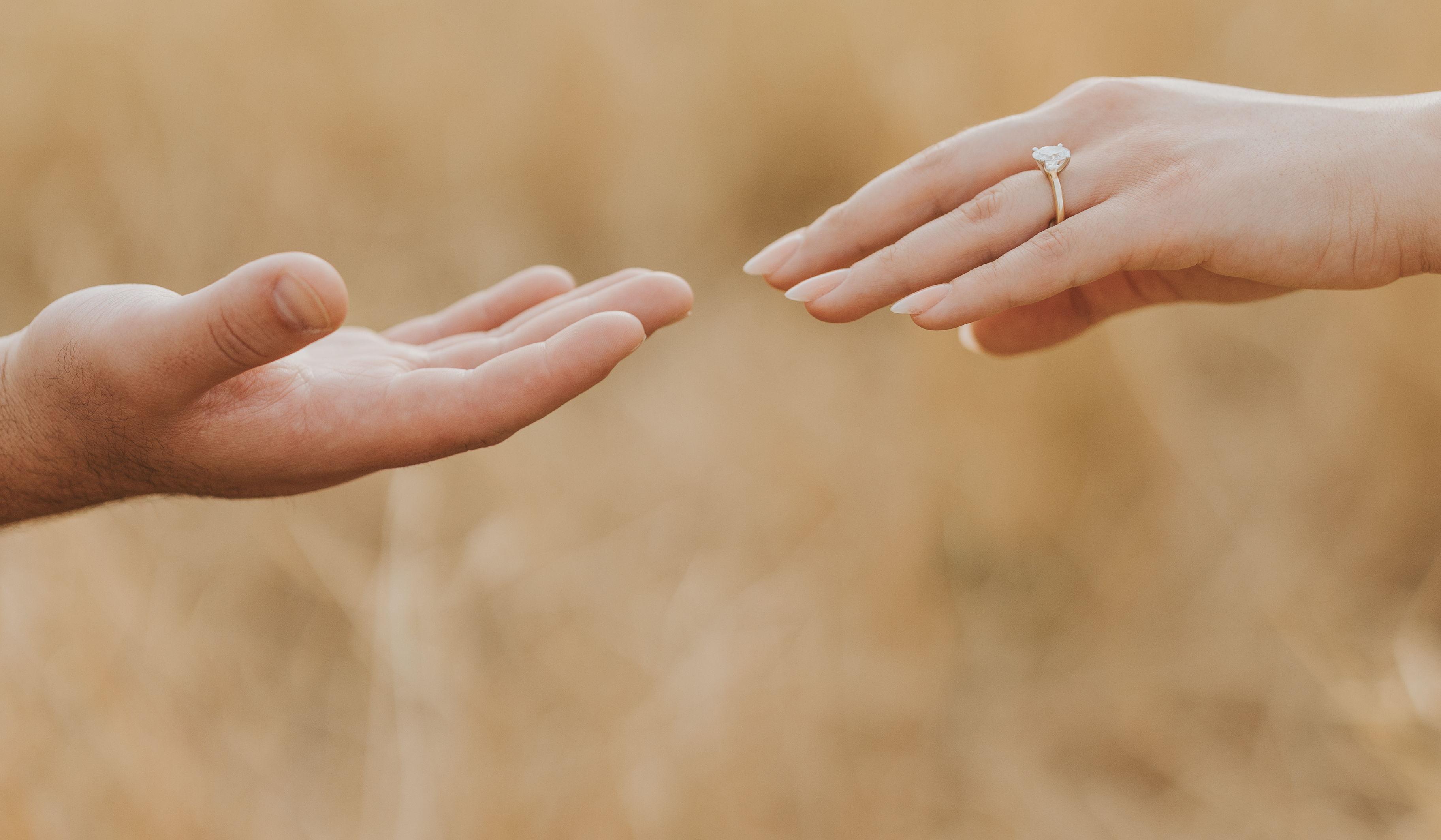 Hero Slideshow Image 0