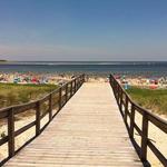 Crane Beach