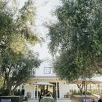 Biddle Ranch Vineyard