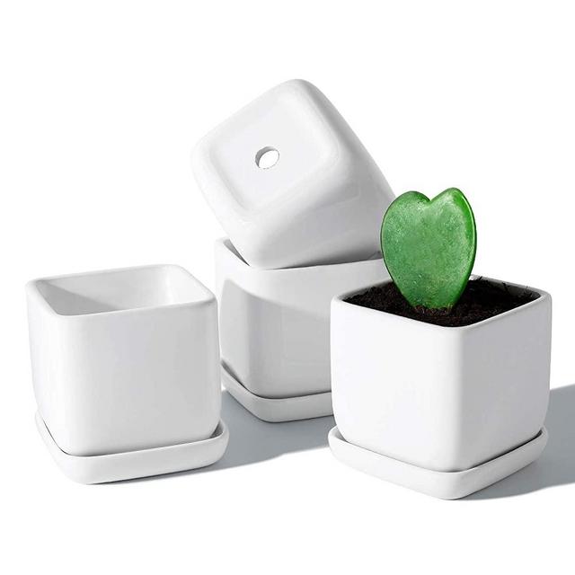 POTEY 051105 Square Succulent Plant Pot - 3.5 Inch White Ceramic Small Planters for Cactus Succulent with Drainage Hole & Saucer, Set of 4