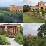 Texas Hill Country Olive Co.