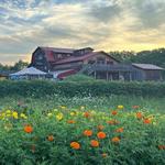 Finger Lakes Cider House