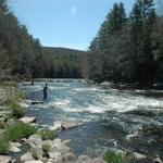 Neversink Gorge Trails