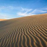 Jockey Ridge State Park