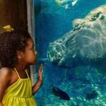 Saint Louis Zoo