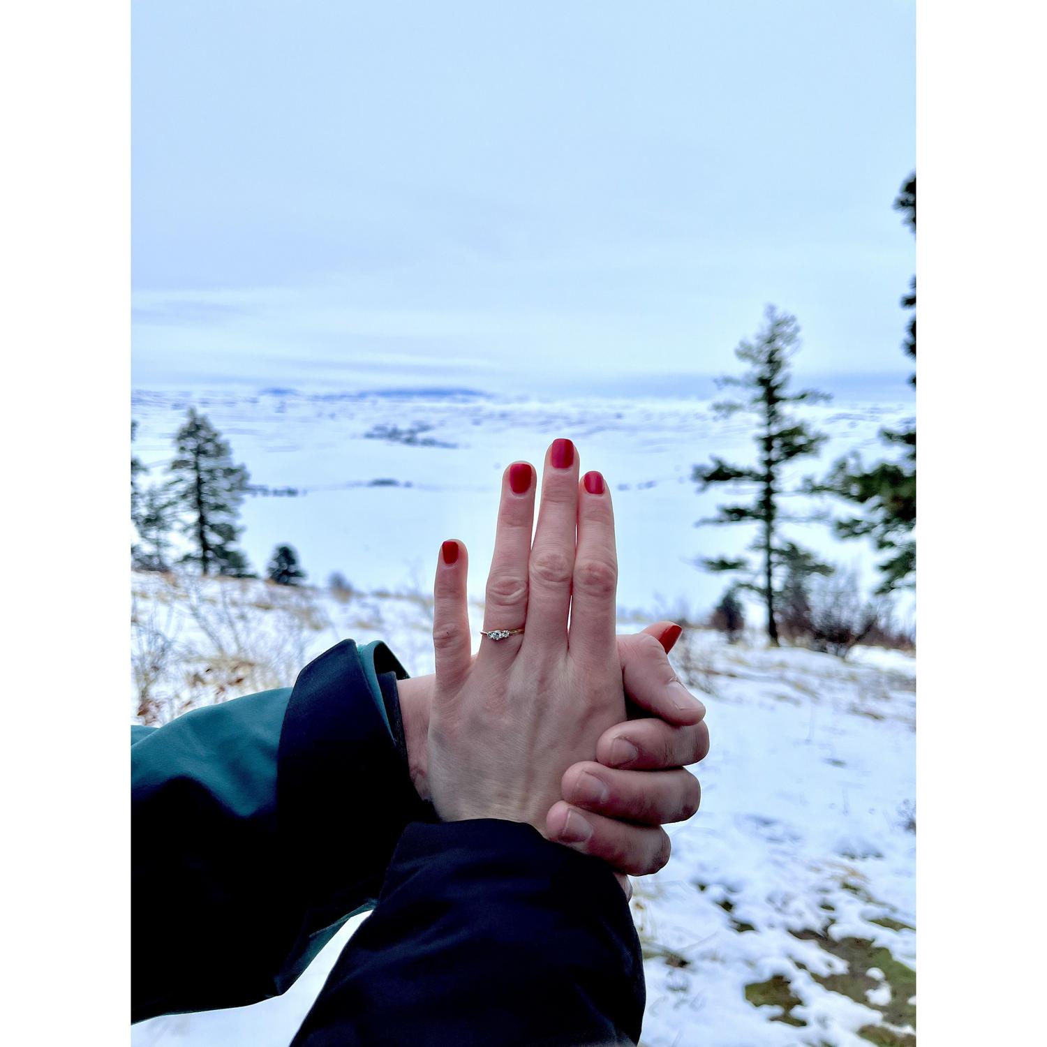 Nels proposed Christmas Day 2022 on Kamiak Butte near his hometown of Palouse, WA.