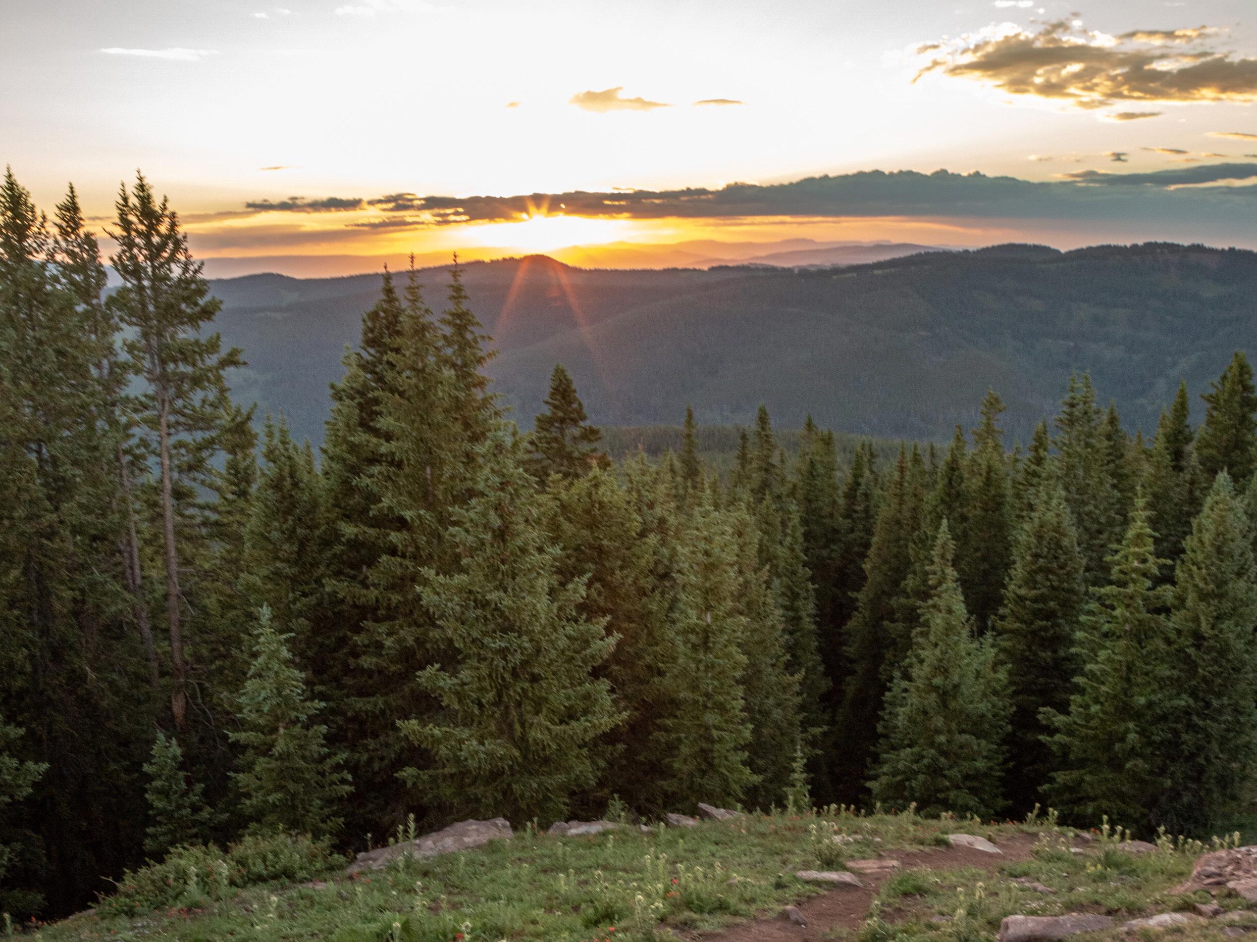 The Wedding Website of Emily Koch and Brennan Melser