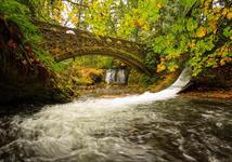 Whatcom Falls Park