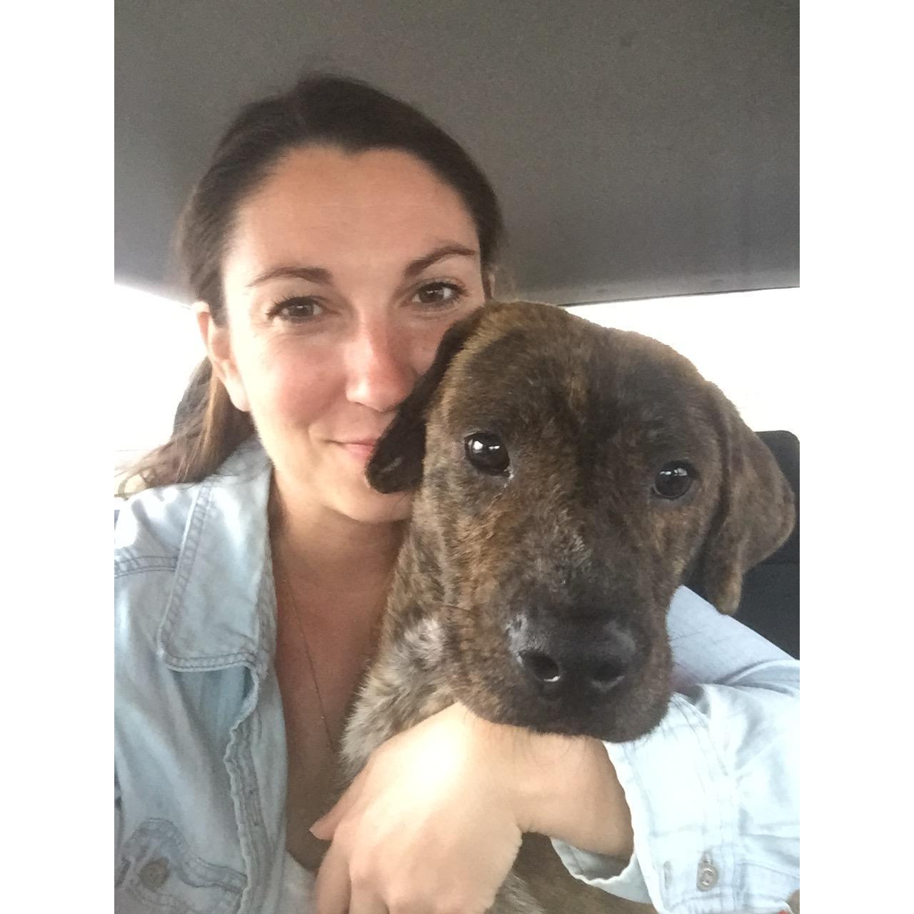 December 2018- Adoption of our fur baby Ollie