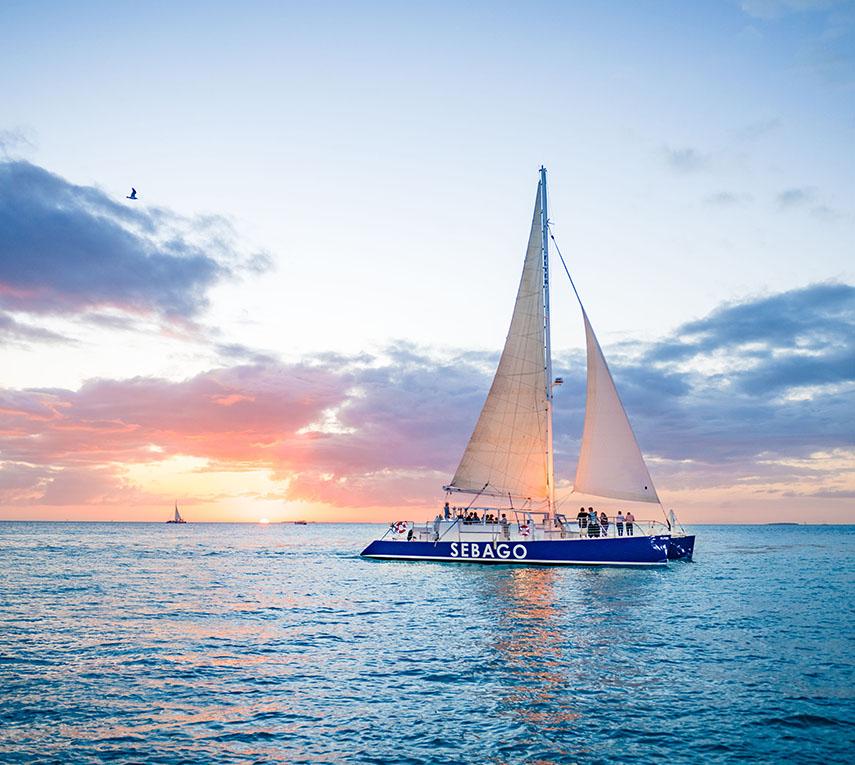 The Wedding Website of Alysha Miller and Casey Lewallen