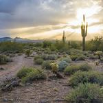 Gateway Loop Trail