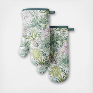 Succulents Oven Mitt, Set of 2