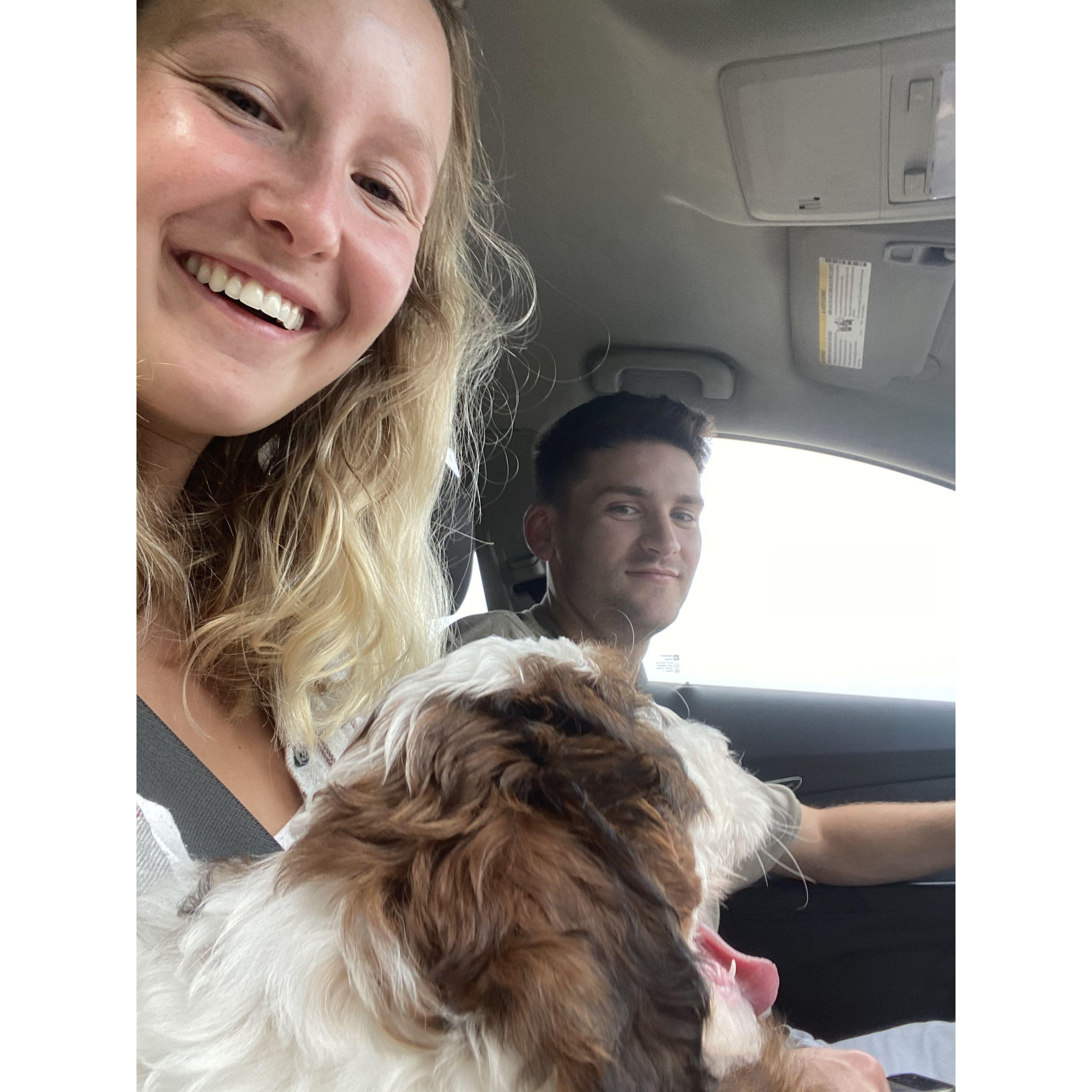When we got Lou