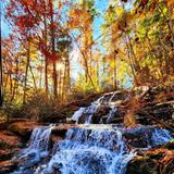 Vogel State Park