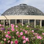 Greater Des Moines Botanical Garden