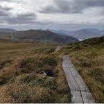 Killarney National Park
