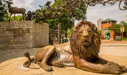Lincoln Park Zoo