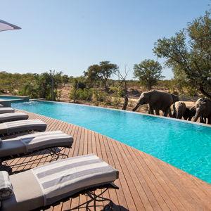 Safari Lodge Suite & Plunge Pool