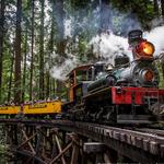 Roaring Camp