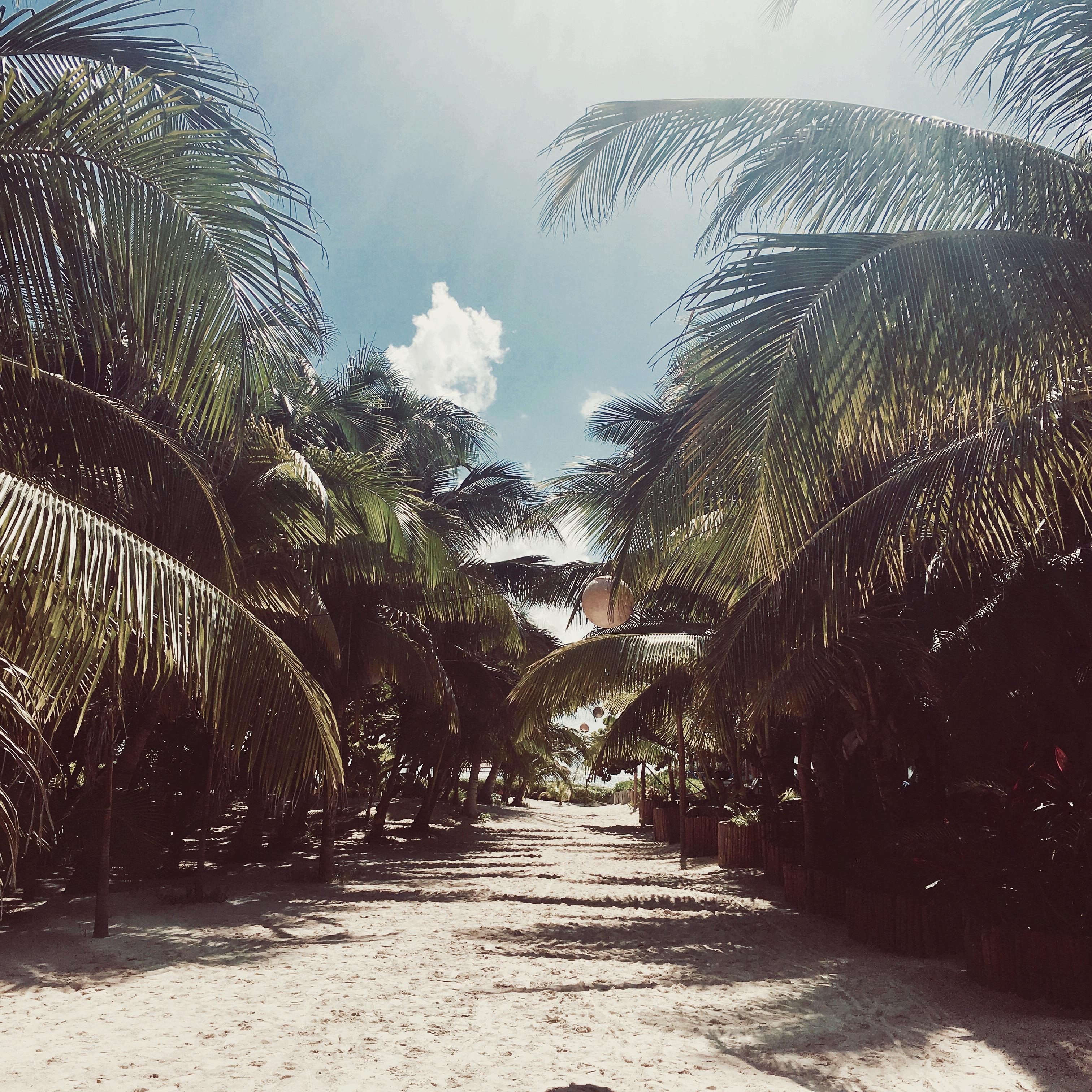 Where our love for Tulum, MX started