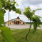 Dennis Drummond Wine Co