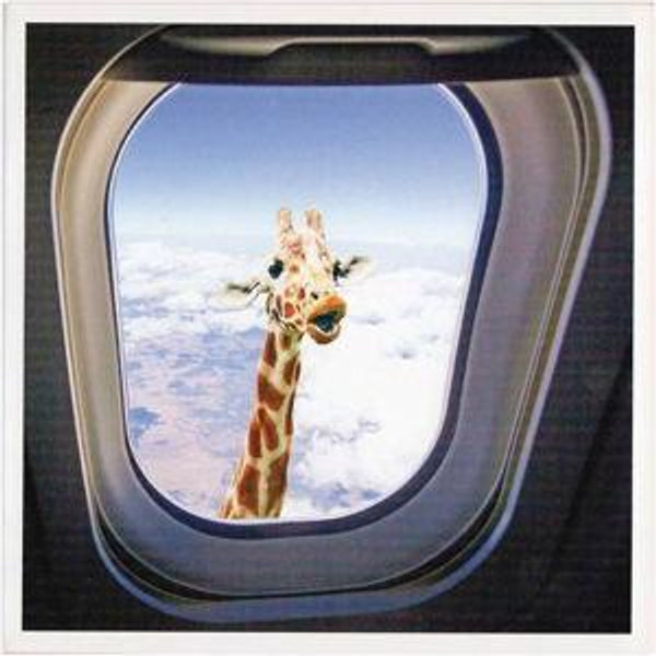 Plane tickets