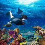 Cabo Pulmo National Marine Park