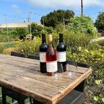 Public Domain Wines